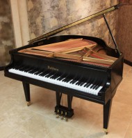 /album/klavir/a1301802067-62976164-1-pictures-of-baldwin-piano-de-cola-en-mexico-jpg/