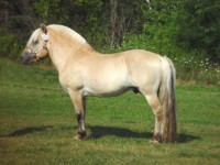 /album/fjordsky-kun/fjord1-jpg/